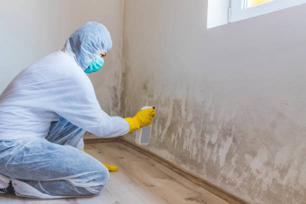 Licensed Commercial Mold Remediation service in Washington, PA - WQB Mold Removal