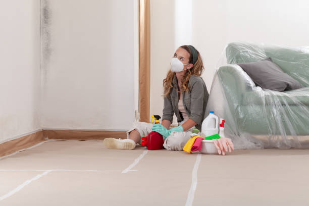 Reliable Commercial Mold Remediation contractor in Washington, PA by WQB Mold Removal